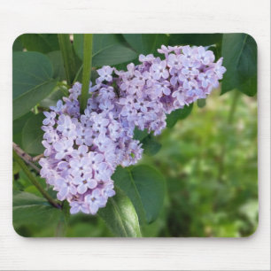 Alfombrilla De Ratón cortina lilac