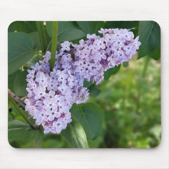 Alfombrilla De Ratón cortina lilac (Frente)