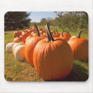 Alfombrilla De Ratón Cosecha de calabaza
