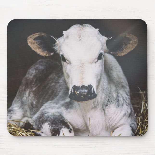 Alfombrilla De Ratón Cosecha ocupada del día (Frente)