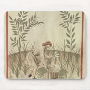 Alfombrilla De Ratón Cosechando los puerros, de 'Tacuinum Sanitatis
