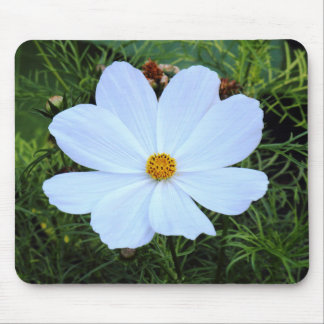 Alfombrilla De Ratón Cosmos blancos