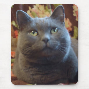 Alfombrilla De Ratón Cosquillas