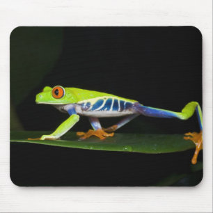 Alfombrilla De Ratón Costa Rica, Rana de ojos rojos (Agalychnis