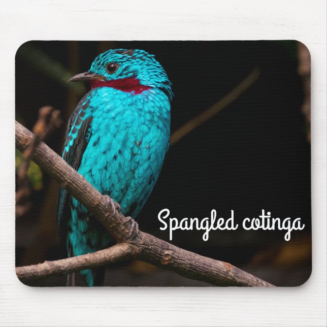 Alfombrilla De Ratón Cotinga española (Frente)