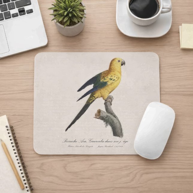 Alfombrilla De Ratón Cotorra del Sol Joven o Aratinga solstitialis (Guarouba dans sons jeune age / Sun parakeet. Mouse Pad)