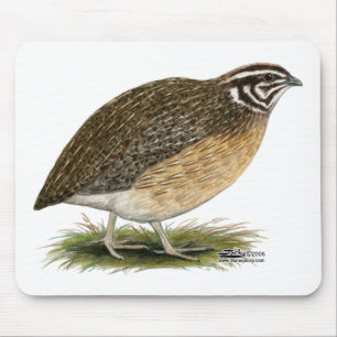 Alfombrilla De Ratón Coturnix Pharaoh Quail
