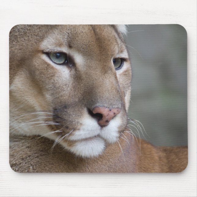 Alfombrilla De Ratón COUGAR ojos cara macro gatos salvajes (Frente)