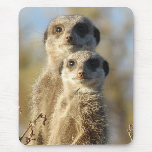 Alfombrilla De Ratón Couple of Meerkats Cute Photo (Frente)