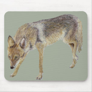 Alfombrilla De Ratón Coyote