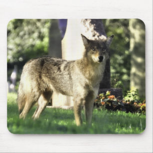 Alfombrilla De Ratón Coyote en el cementerio
