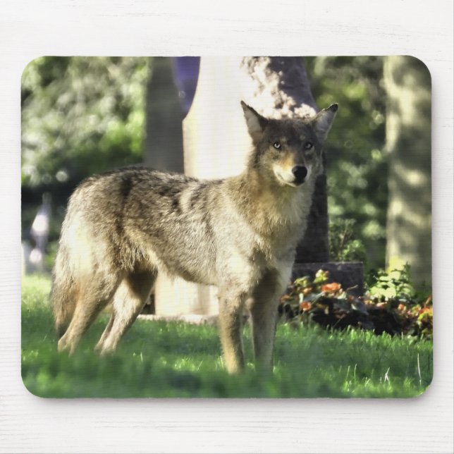 Alfombrilla De Ratón Coyote en el cementerio (Frente)