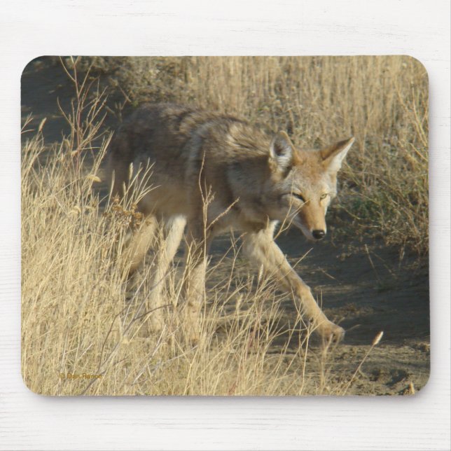 Alfombrilla De Ratón Coyote R14 Caminando (Frente)