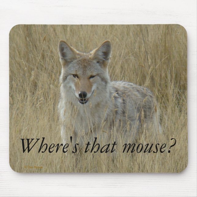 Alfombrilla De Ratón Coyote R2 en grano alto (Frente)