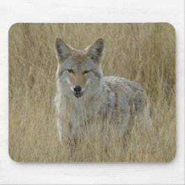 Alfombrilla De Ratón Coyote R2 en hierba alta
