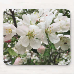 Alfombrilla De Ratón Crabapple floreciente