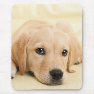 Alfombrilla De Ratón Crea tu propia foto personalizada de tu mascota