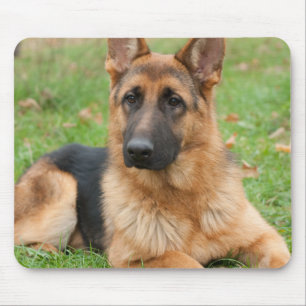 Alfombrilla De Ratón Crea tu propia foto personalizada de tu mascota