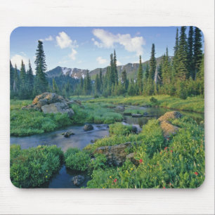 Alfombrilla De Ratón Creek de picnic en la cuenca del cisne