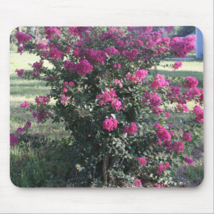 Alfombrilla De Ratón Crepe Myrtle