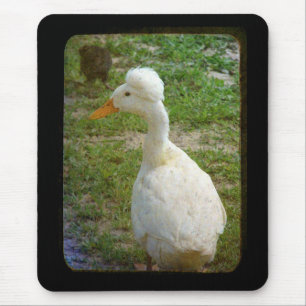 Alfombrilla De Ratón Crestie