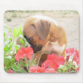 Alfombrilla De Ratón Cría de Boxer en la tabique de Petunias