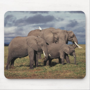 Alfombrilla De Ratón Cría de elefante africano con familia