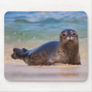 Alfombrilla De Ratón Cría de foca común en el agua