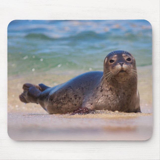 Alfombrilla De Ratón Cría de foca común en el agua (Frente)