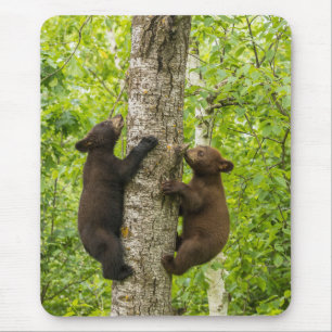 Alfombrilla De Ratón Crías de oso negro subiendo a un árbol