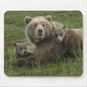 Alfombrilla De Ratón Crías de oso pardo acariciando a su madre