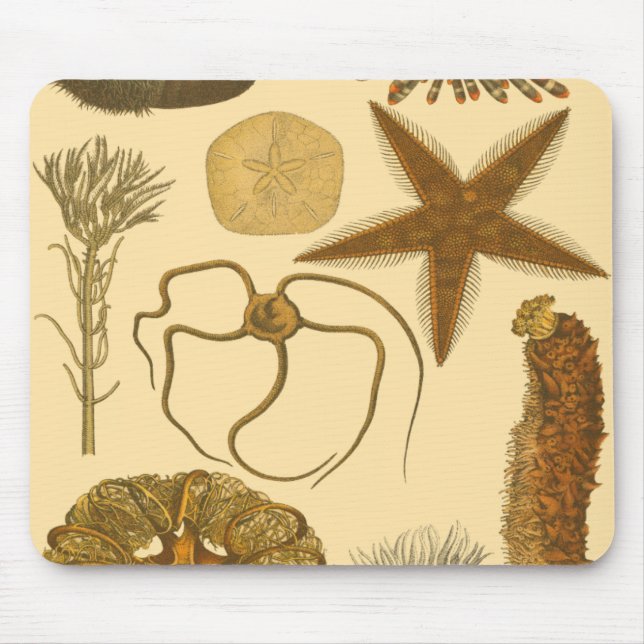 Alfombrilla De Ratón Criaturas submarinas (Frente)