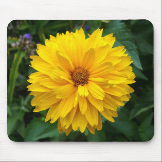 Alfombrilla De Ratón Crisantemo amarillo