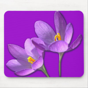 Alfombrilla De Ratón Crocus Flower Mousepad Púrpura / Blue Decoración R