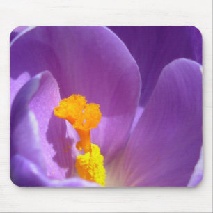 Alfombrilla De Ratón Crocus Flower Mousepad Púrpura / Blue Decoración R