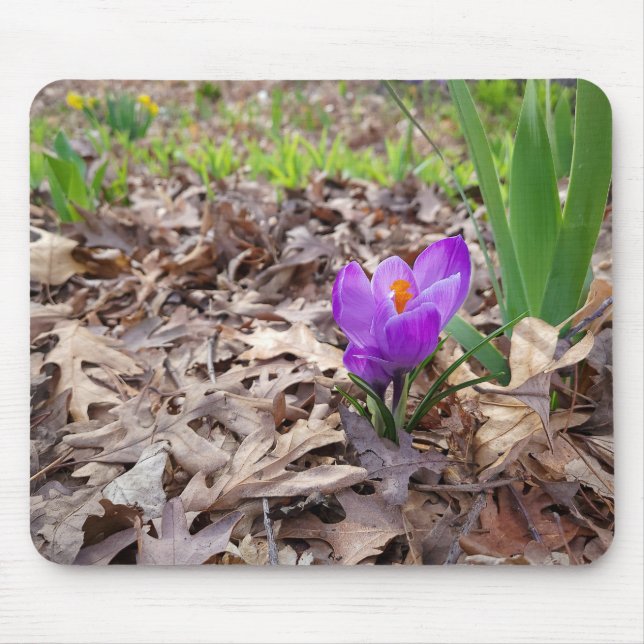 Alfombrilla De Ratón Crocus púrpura en hojas (Frente)