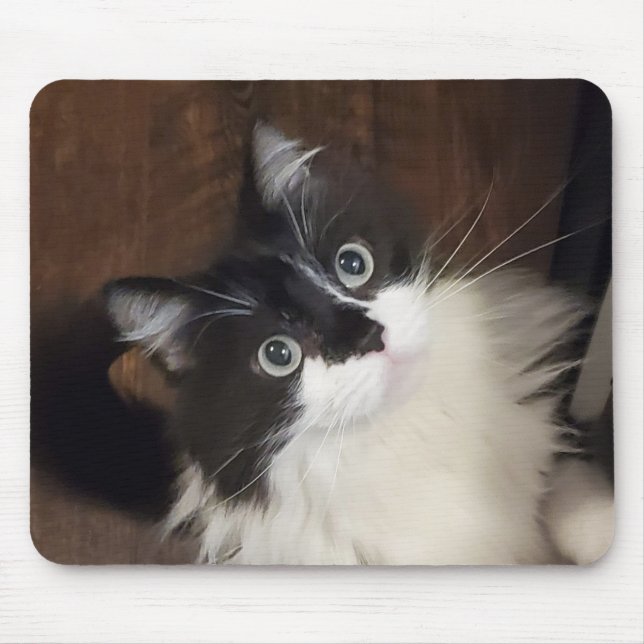 Alfombrilla De Ratón Crónicas de Todd - Almohadilla del ratón (Frente)