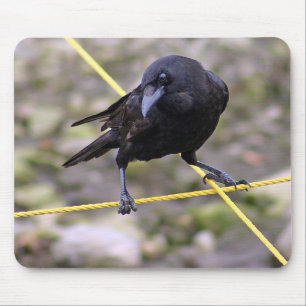 Alfombrilla De Ratón Crow en la encrucijada
