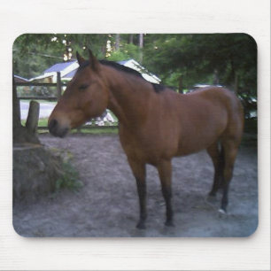Alfombrilla De Ratón Cruz nombrado caballo