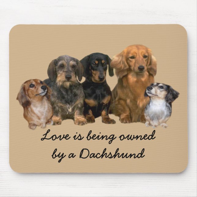 Alfombrilla De Ratón Cuadrilla Mousepad del Dachshund (Frente)