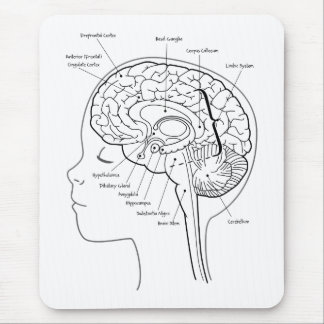 Alfombrilla De Ratón Cuál está en su cerebro