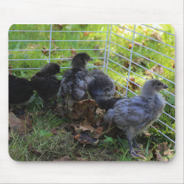 Alfombrilla De Ratón Cuál está para arriba - extremo del pollo