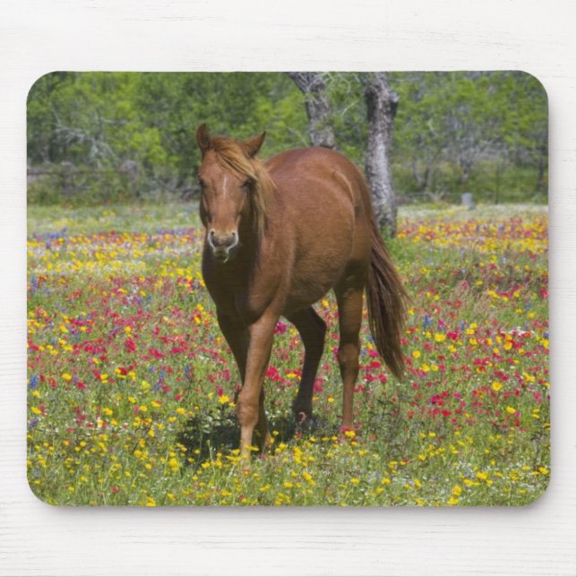 Alfombrilla De Ratón Cuarto caballo en campo de flores silvestres (Frente)