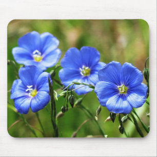 Alfombrilla De Ratón Cuatro hermosas flores naturales azules florecen K