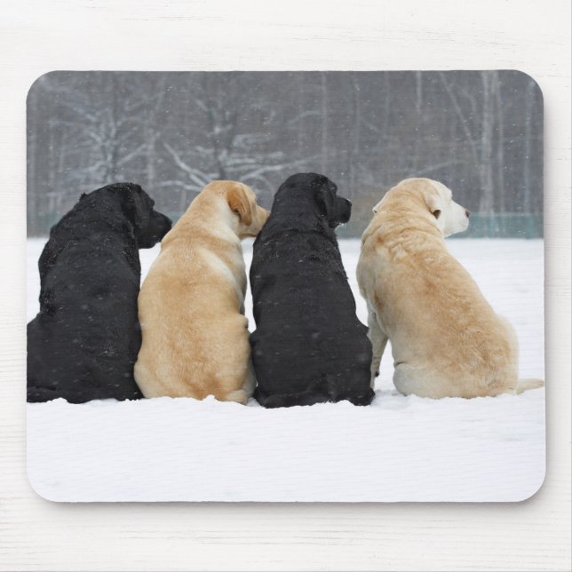Alfombrilla De Ratón Cuatro Perros De Labrador En Nieve (Frente)