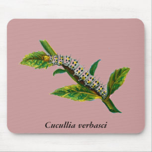 Alfombrilla De Ratón Cucullia verbasci caterpillar