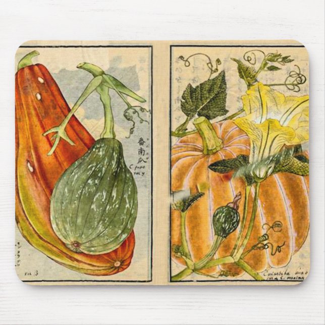 Alfombrilla De Ratón Cucurbita Pepo - Arte de época de Seikei Zusetsu (Frente)