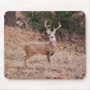 Alfombrilla De Ratón Cuerno de venado grande y hermoso en invierno