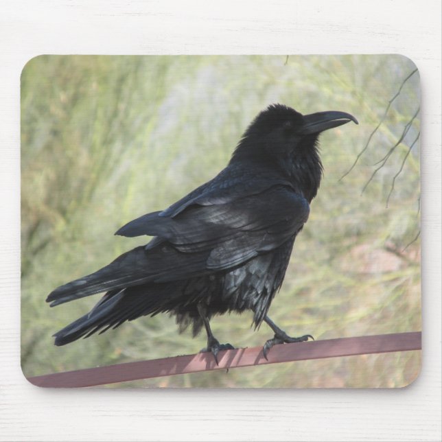 Alfombrilla De Ratón Cuervo Mousepad (Frente)