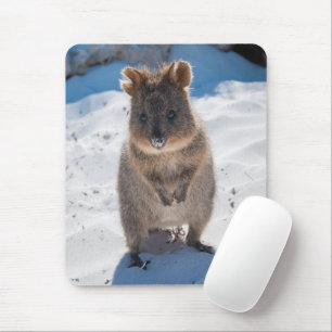 Alfombrilla De Ratón Cuidada y feliz Quokka en la vertical de la playa